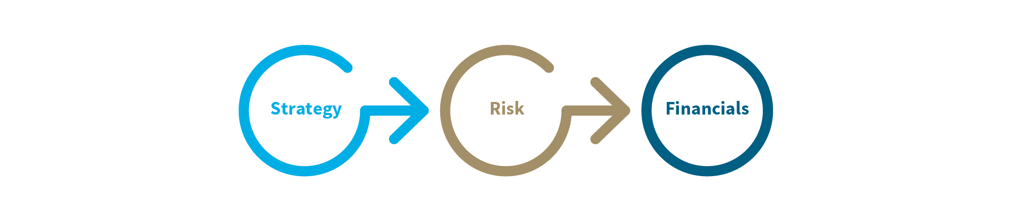Strategy, risk, financials