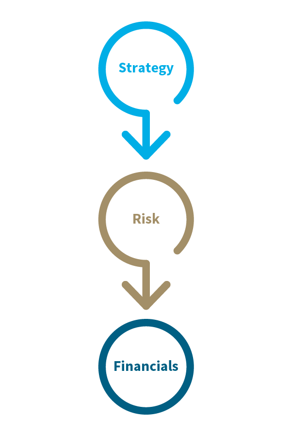 Strategy, risk, financials